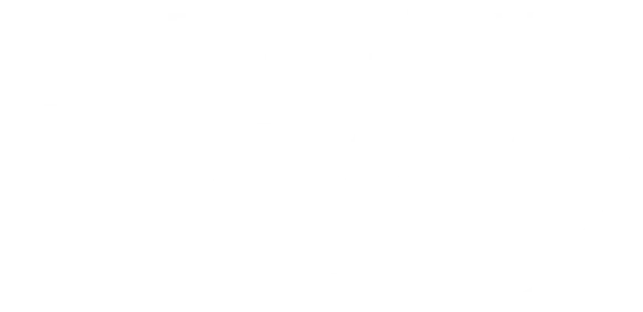 究極の999